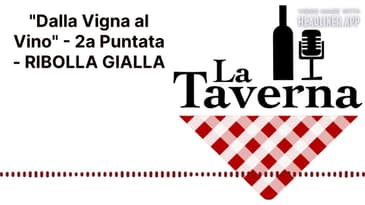 "Dalla Vigna al Vino" - 2a Puntata - RIBOLLA GIALLA | La Taverna Friuli Wine