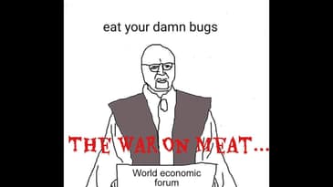 The War On Meat...