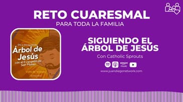 día 17 - RETO: En familia día a día con el Árbol de Jesús hasta la Pascua