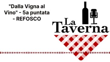 "Dalla Vigna al Vino" - 5a puntata - REFOSCO | La Taverna Friuli Wine