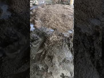 MICRO MOMENTS! DIGGING FOR A CAUSE!