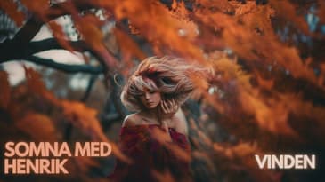 SOMNA MED HENRIK: Vinden 💤💤💤