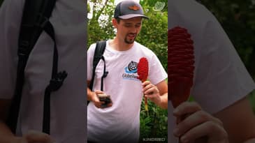 Charity, Adventure, and Team Spirit! Costa Rica with Globe Aware