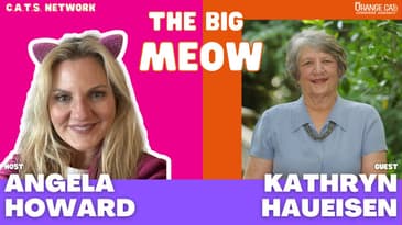 138: Promoting Authors with Kathryn Haueisen