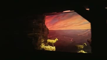 Disneyland Railroad Ride Through - Grand Canyon and Primeval World