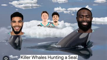 How the Boston Celtics HUNTED the Hornets : Film Session