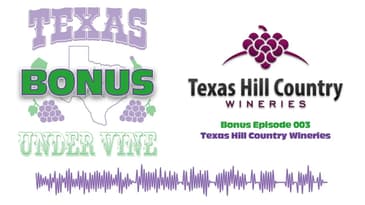 Bonus Episode 003 - Texas Hill Country Wineries