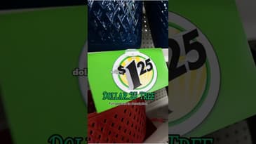 Inflation turned Dollar Tree into Dollar and a quarter Tree