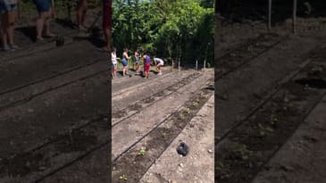 MICRO MOMENTS! Working on the Fields