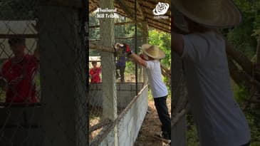 Thanksgiving in Thailand! Globe Aware