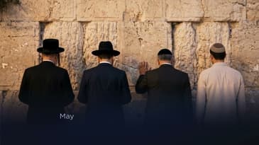 United Refuah Tisha B'Av clip