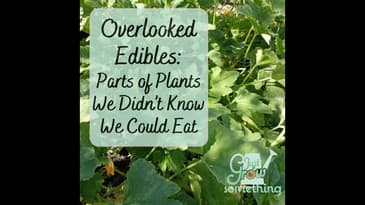Overlooked Edibles: Parts of Our Garden We Didn't Know We Can Eat - Ep. 165