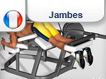 Exercices ischio jambiers