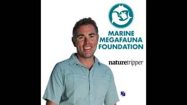 Dr Simon Pierce - Whale sharks - S2 E01