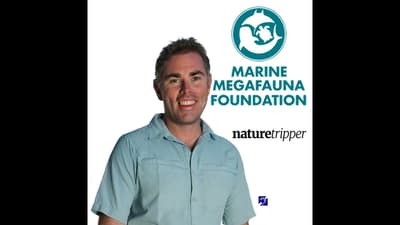 Dr Simon Pierce - Whale sharks - S2 E01