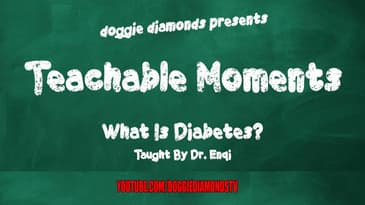 What Is Diabetes? - Taught By Dr. Enqi | Teachable Moments