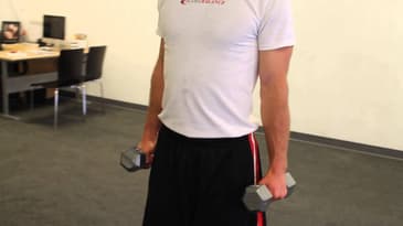 Bicep Curls - Hammer