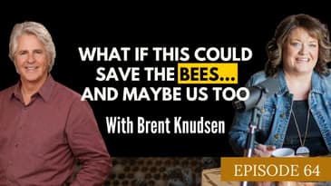 What If This Could Save The Bees... And Maybe Us Too With Brent Knudsen