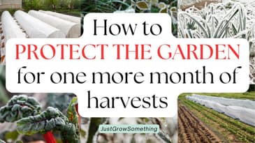 How to Protect Your Garden from Frosts for One More Month of Harvests - Ep. 274