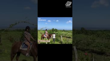 Where Is This!? A Solo Spring Adventure in the Galápagos  with Globe Aware( Clip 6)