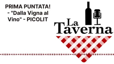 PRIMA PUNTATA! - "Dalla Vigna al Vino" - PICOLIT | La Taverna Friuli Wine