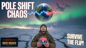 Surviving the Shift: Magnetic Pole Reversal and Its Badass Implications