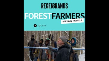 #110 - Michael Farrell @ The Forest Farmers -Forest Farming The Most Regenerative Sweetener On Earth