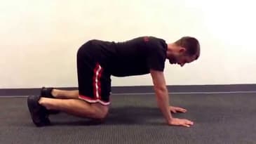 Downward Dog