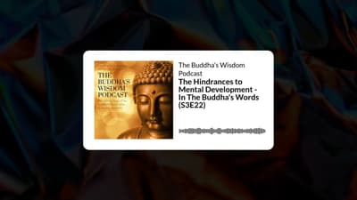 The Hindrances to Mental Development - In The Buddha's Words (S3E22) | The Buddha’s Wisdom Podcast