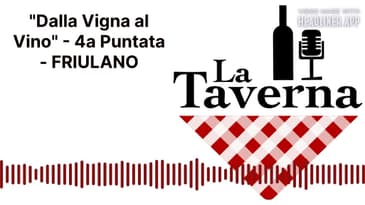 "Dalla Vigna al Vino" - 4a Puntata - FRIULANO | La Taverna Friuli Wine