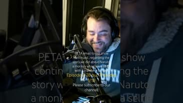 Stay in the Gray Podcast PREVIEW 2-28 - PETA email cont. #peta #podcast #fypyoutube