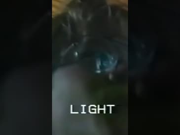 Jag var ett mycket ensamt barn...