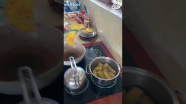 What's For Breakfast!? A Solo Spring Adventure in the Galápagos  with Globe Aware ( Clip 14)