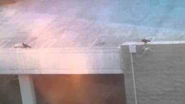 How many scenarios can you come up with from this video