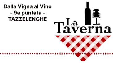 Dalla Vigna al Vino - 9a puntata - TAZZELENGHE | La Taverna Friuli Wine