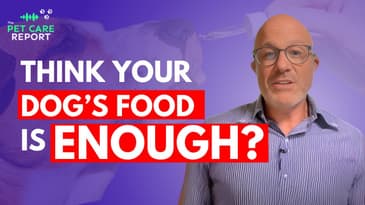 My Dog Was Dying—Then I Changed His Diet | Dog Nutrition Secrets Vets Don’t Talk About!