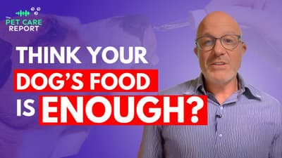 My Dog Was Dying—Then I Changed His Diet | Dog Nutrition Secrets Vets Don’t Talk About!