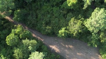 Kay-Alana Turner video to analyze