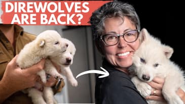 The Scientist who helped bring back Direwolves! - Dr. Beth Shapiro