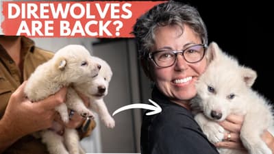 The Scientist who helped bring back Direwolves! - Dr. Beth Shapiro