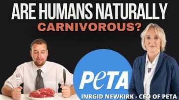 Are Humans Naturally Carnivorous? PETA president Ingrid Newkirk answers 🥩🍗🥬 #podcastclip