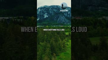 Discover The Power Of Gratitude #Gratitude #FaithJourney #livewithpurpose