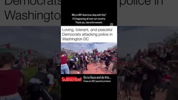 Hamas Palestinian “peaceful protestors” have turned violent - all over the U.S. 🇵🇸🇺🇸