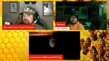 BUGONIA (2025) - Full Spoiler Review! | Special Edition Episode | The Caffeinated Cryptid Podcast