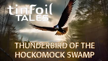 Thunderbird from the Hockomock Swamp