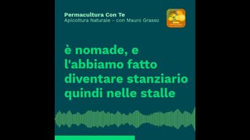 (EP04) Apicoltura Naturale - con Mauro Grasso