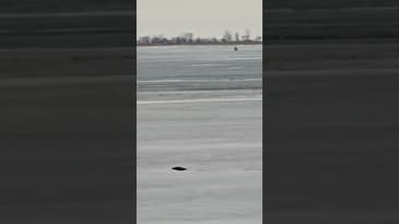 Melting ice more cold weather coming.