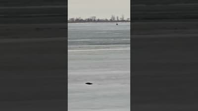 Melting ice more cold weather coming.