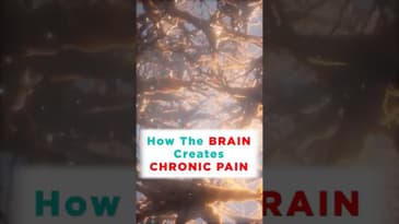 How Chronic Pain is Created in the Brain
