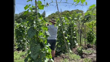 A STROLL THROUGH THIS SUSTAINABLE FARM ON EARTH DAY!